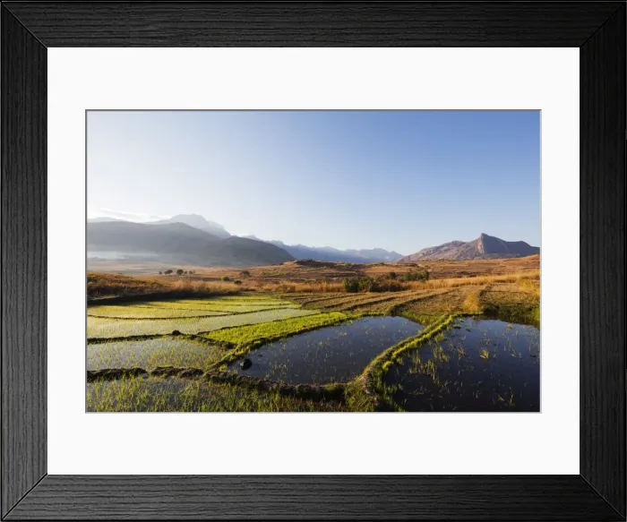 Framed Print : Rice cultivation, Tsaranoro Valley, Ambalavao, central area, Madagascar, Africa Framed Print : Rice cultivation, Tsaranoro Valley, Ambalavao, central area, Madagascar, Africa