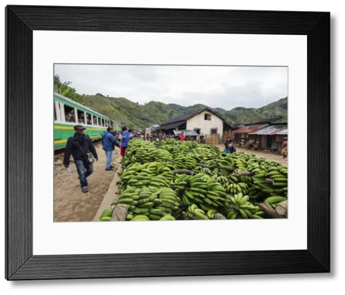 Framed Print : Bananas waiting to be transported, Fianarantsoa to Manakara FCE train, easterrn area Framed Print : Bananas waiting to be transported, Fianarantsoa to Manakara FCE train, easterrn area