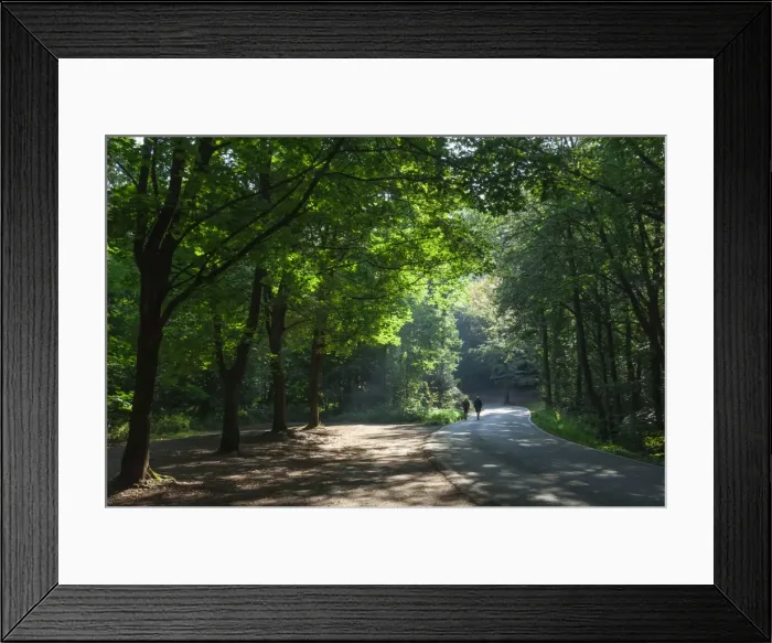 Framed Print : Walkers on a forest road in the Pfalz area, Germany, Europe Framed Print : Walkers on a forest road in the Pfalz area, Germany, Europe