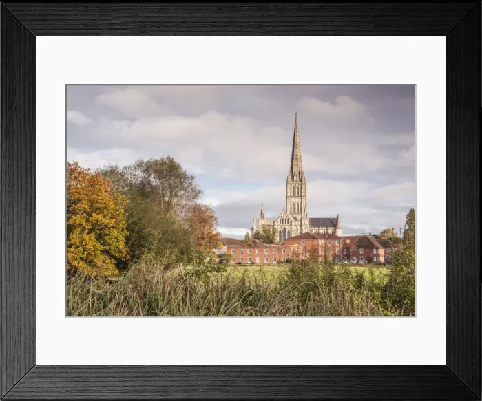 Framed Print : Salisbury Cathedral from the West Harnham Water Meadows, Salisbury, Wiltshire, England Framed Print : Salisbury Cathedral from the West Harnham Water Meadows, Salisbury, Wiltshire, England