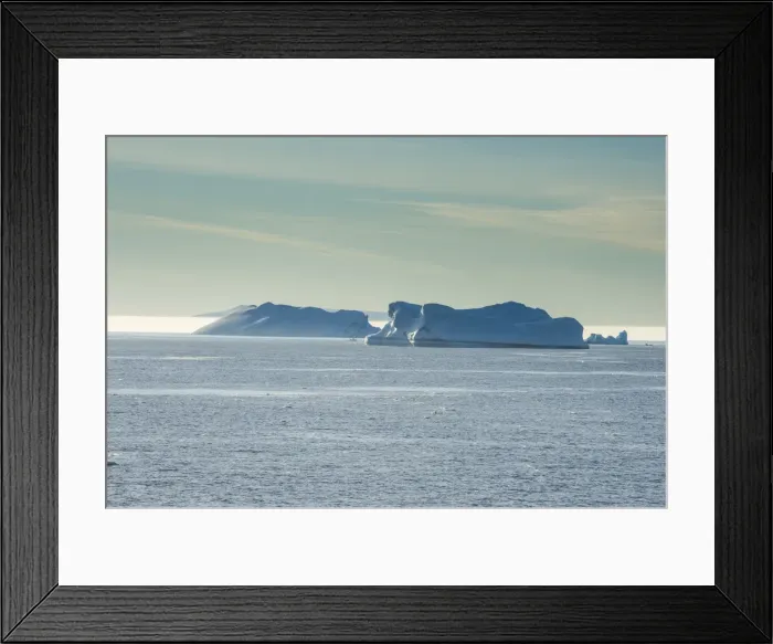 Framed Print : Icebergs floating in Hope Bay, Antarctica, Polar Regions Framed Print : Icebergs floating in Hope Bay, Antarctica, Polar Regions