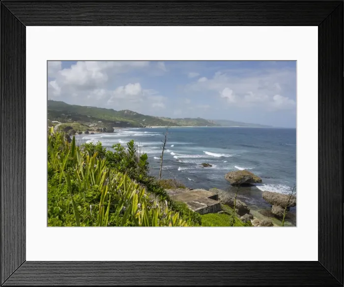 Framed Print : Bathsheba, St. Joseph, Barbados, West Indies, Caribbean, Central America Framed Print : Bathsheba, St. Joseph, Barbados, West Indies, Caribbean, Central America