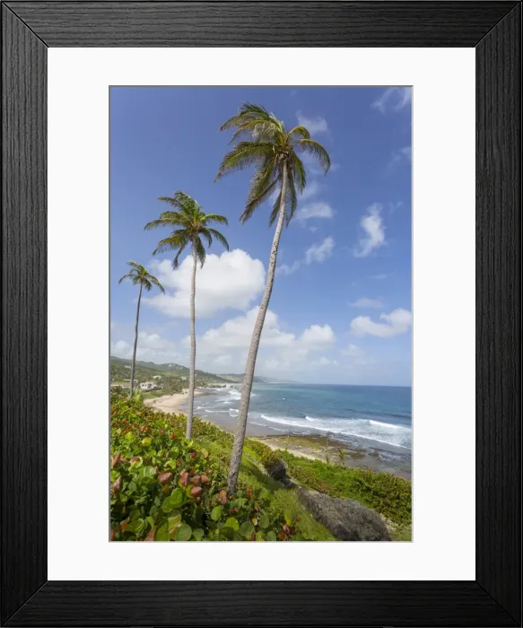 Framed Print : Bathsheba Beach, Bathsheba, St. Joseph, Barbados, West Indies, Caribbean, Central America Framed Print : Bathsheba Beach, Bathsheba, St. Joseph, Barbados, West Indies, Caribbean, Central America