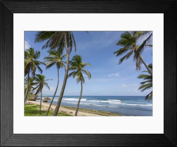 Framed Print : Beach, Bathsheba, St. Joseph, Barbados, West Indies, Caribbean, Central America Framed Print : Beach, Bathsheba, St. Joseph, Barbados, West Indies, Caribbean, Central America