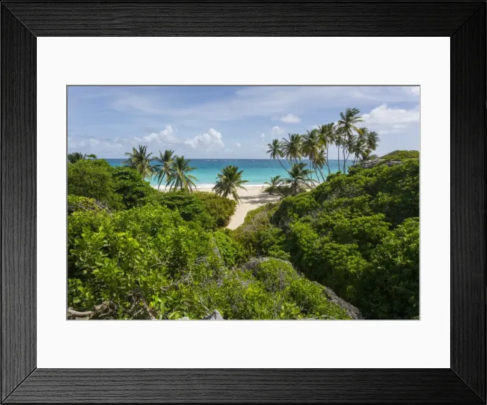 Framed Print : Bottom Bay, St. Philip, Barbados, West Indies, Caribbean, Central America Framed Print : Bottom Bay, St. Philip, Barbados, West Indies, Caribbean, Central America