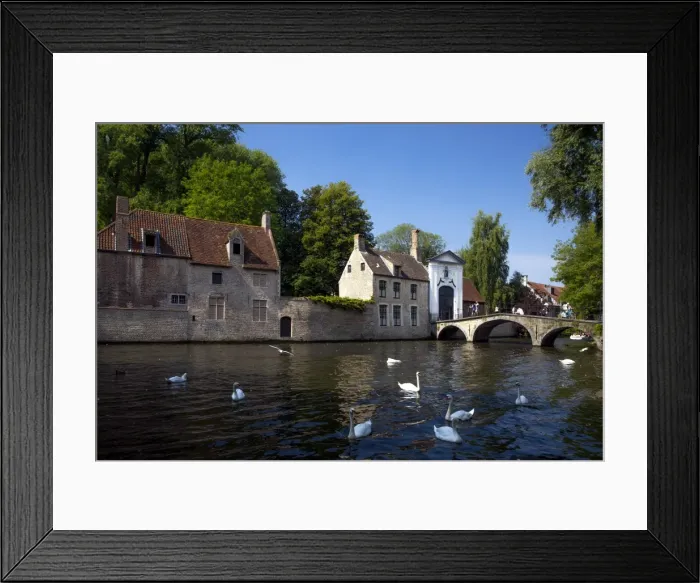 Framed Print : Mute swans (Cygnus olor), at the Minnewater Lake and Begijnhof Bridge with entrance to Beguinage Framed Print : Mute swans (Cygnus olor), at the Minnewater Lake and Begijnhof Bridge with entrance to Beguinage