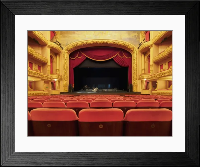 Framed Print : Interior view of the hall of the Theatro Municipal, Rio de Janeiro, Brazil, South America Framed Print : Interior view of the hall of the Theatro Municipal, Rio de Janeiro, Brazil, South America