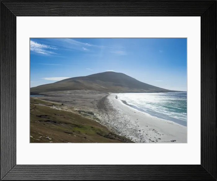 Framed Print : The Neck isthmus on Saunders Island, Falklands, South America Framed Print : The Neck isthmus on Saunders Island, Falklands, South America