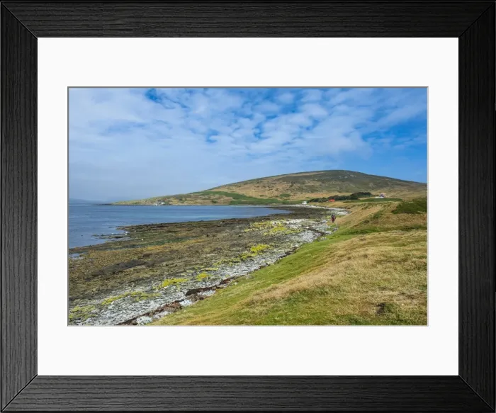 Framed Print : Pretty bay in Carcass Island, Falkland Islands, South America Framed Print : Pretty bay in Carcass Island, Falkland Islands, South America