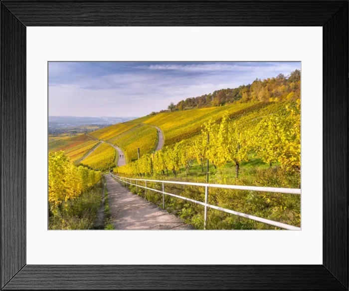 Framed Print : Vineyard Kappelberg, Herbst, Baden-Wurttemberg, Germany, Europe Framed Print : Vineyard Kappelberg, Herbst, Baden-Wurttemberg, Germany, Europe