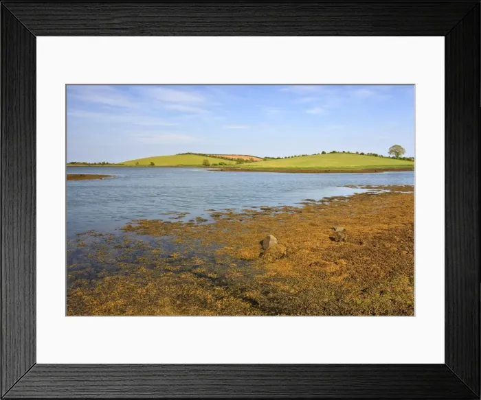 Framed Print : Strangford Lough, County Down, Ulster, Northern Ireland, United Kingdom, Europe Framed Print : Strangford Lough, County Down, Ulster, Northern Ireland, United Kingdom, Europe