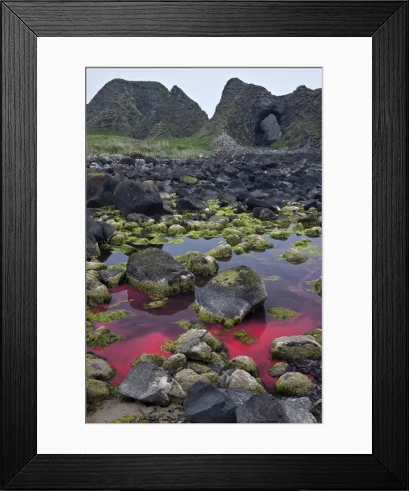 Framed Print : Ballintoy, County Antrim, Ulster, Northern Ireland, United Kingdom, Europe Framed Print : Ballintoy, County Antrim, Ulster, Northern Ireland, United Kingdom, Europe