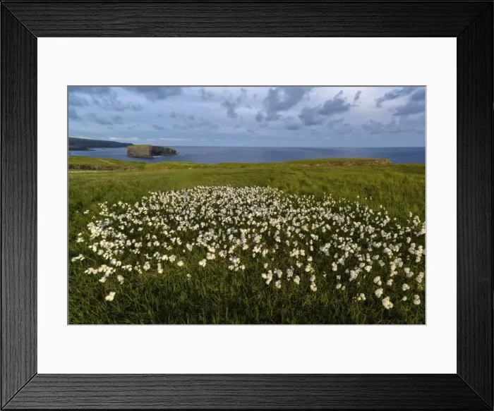 Framed Print : Castle Point, Loop Head, County Clare, Munster, Republic of Ireland, Europe Framed Print : Castle Point, Loop Head, County Clare, Munster, Republic of Ireland, Europe