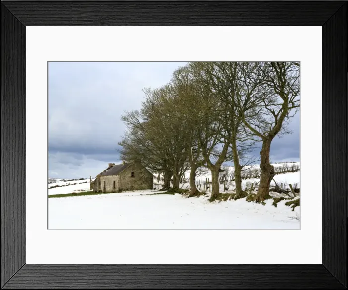 Framed Print : Cottage and trees, Torr Head, County Antrim, Ulster, Northern Ireland, United Kingdom Framed Print : Cottage and trees, Torr Head, County Antrim, Ulster, Northern Ireland, United Kingdom