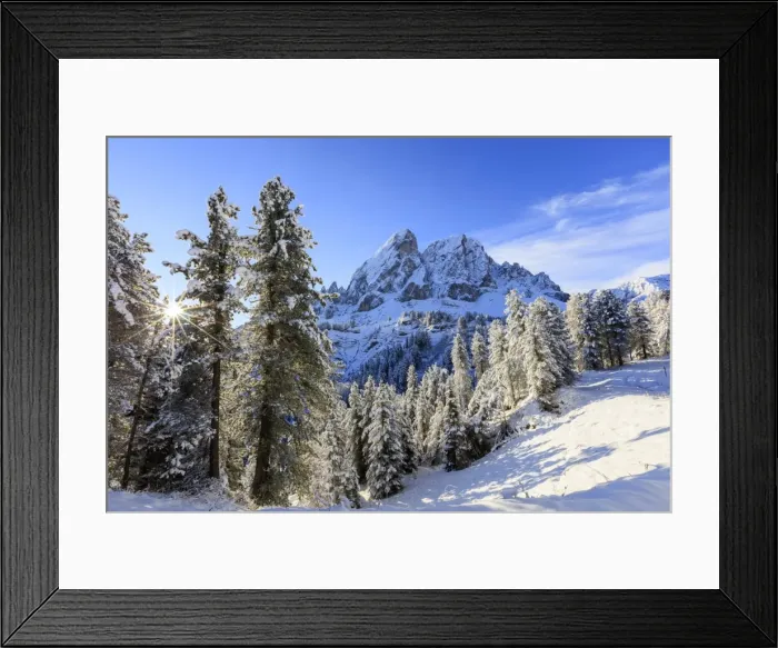 Framed Print : The sun illuminates the snowy trees and Sass De Putia in the background, Passo Delle Erbe Framed Print : The sun illuminates the snowy trees and Sass De Putia in the background, Passo Delle Erbe