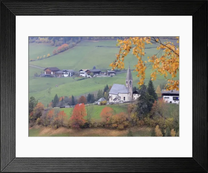 Framed Print : The yellow leaves of a larch frame the alpine church in the fall, St. Magdalena, Funes Valley