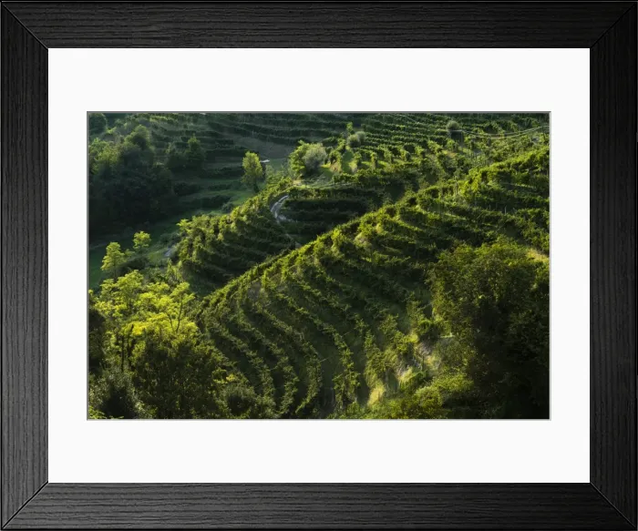 Framed Print : Rolle, Valdobbiadene, Veneto, Italy, Europe Framed Print : Rolle, Valdobbiadene, Veneto, Italy, Europe