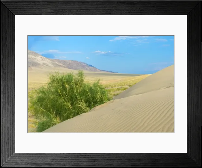 Framed Print : Singing Dunes, Altyn-Emel National Park, Almaty region, Kazakhstan, Central Asia, Asia Framed Print : Singing Dunes, Altyn-Emel National Park, Almaty region, Kazakhstan, Central Asia, Asia