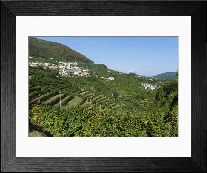 Framed Print : Santo Stefano di Valdobbiadene, Valdobbiadene, Veneto, Italy, Europe Framed Print : Santo Stefano di Valdobbiadene, Valdobbiadene, Veneto, Italy, Europe