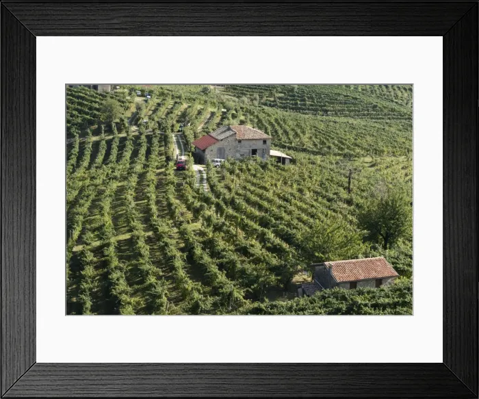 Framed Print : Valdobbiadene, Veneto, Italy, Europe Framed Print : Valdobbiadene, Veneto, Italy, Europe