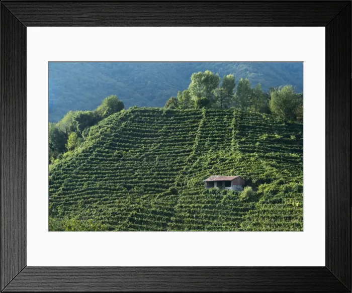 Framed Print : Colbertaldo, Valdobbiadene, Veneto, Italy, Europe Framed Print : Colbertaldo, Valdobbiadene, Veneto, Italy, Europe