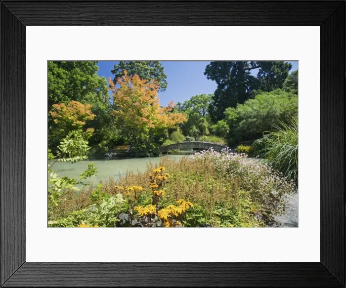 Framed Print : The Water Garden, Christchurch Botanic Gardens, Christchurch, Canterbury, South Island Framed Print : The Water Garden, Christchurch Botanic Gardens, Christchurch, Canterbury, South Island