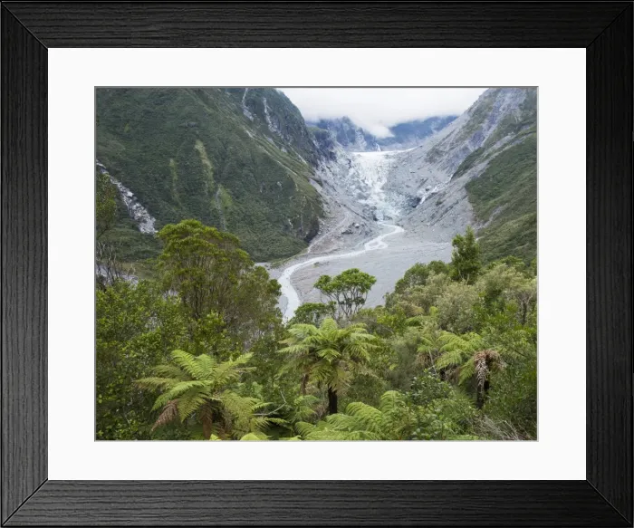 Framed Print : View to the Fox Glacier from the Chalet Lookout Track, Fox Glacier, Westland Tai Framed Print : View to the Fox Glacier from the Chalet Lookout Track, Fox Glacier, Westland Tai