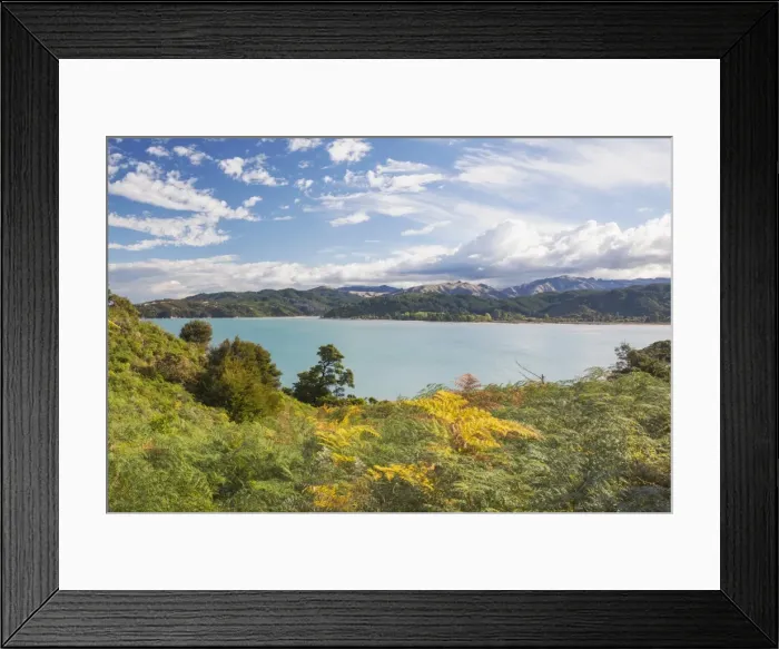 Framed Print : View over Sandy Bay from the Abel Tasman Coast Track, Abel Tasman National Park, near Marahau Framed Print : View over Sandy Bay from the Abel Tasman Coast Track, Abel Tasman National Park, near Marahau