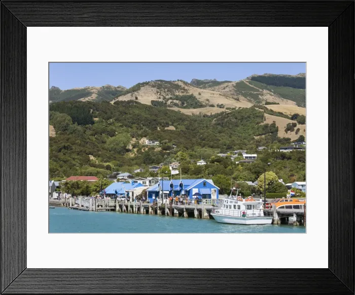 Framed Print : View from Akaroa Harbour to the Main Wharf, Akaroa, Banks Peninsula, Canterbury, South Island Framed Print : View from Akaroa Harbour to the Main Wharf, Akaroa, Banks Peninsula, Canterbury, South Island