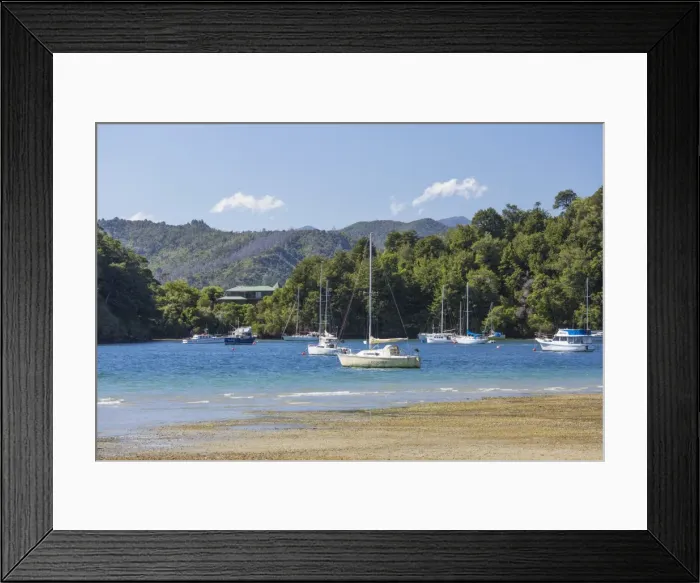 Framed Print : Yachts moored in the sheltered harbour, Ngakuta Bay, near Picton, Marlborough, South Island Framed Print : Yachts moored in the sheltered harbour, Ngakuta Bay, near Picton, Marlborough, South Island