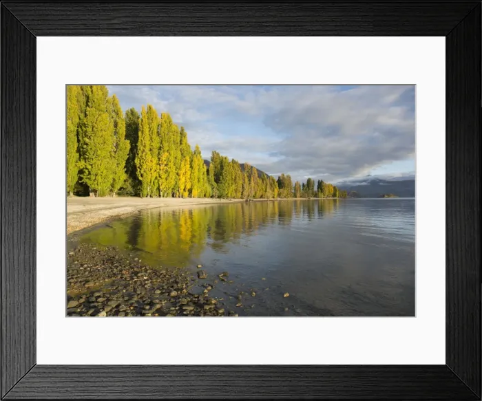 Framed Print : View along the shore of tranquil Lake Wanaka, autumn, Roys Bay, Wanaka, Queenstown-Lakes district Framed Print : View along the shore of tranquil Lake Wanaka, autumn, Roys Bay, Wanaka, Queenstown-Lakes district