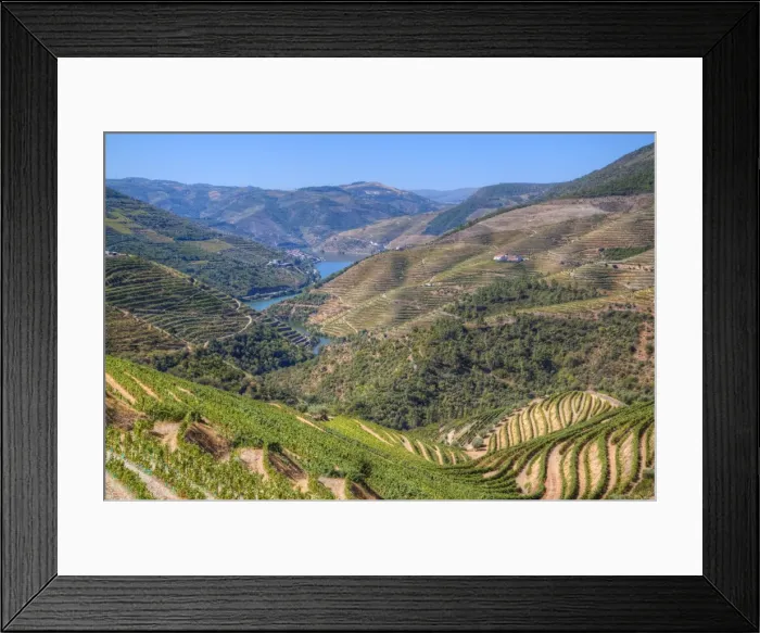 Framed Print : Vineyards and the Douro River, Alto Douro Wine Valley, UNESCO World Heritage Site Framed Print : Vineyards and the Douro River, Alto Douro Wine Valley, UNESCO World Heritage Site