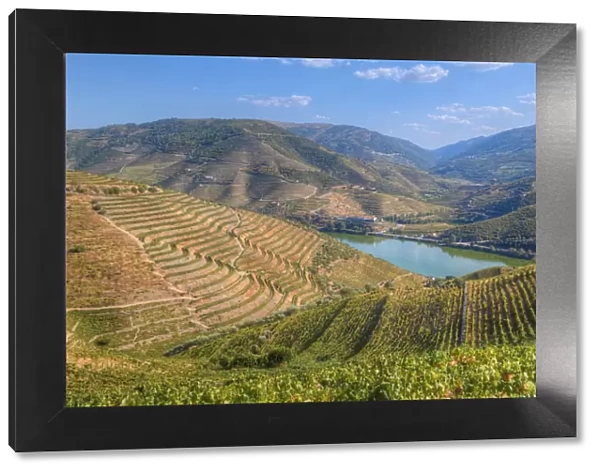 Vineyards and the Douro River, Alto Douro Wine Valley, UNESCO World Heritage Site
