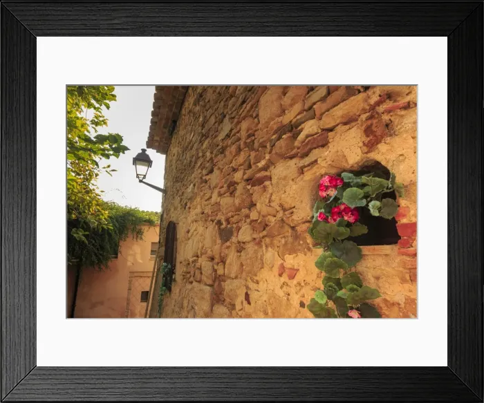 Framed Print : Gorgeous medieval village, geranium with pink flowers in old stone wall, Peratallada Framed Print : Gorgeous medieval village, geranium with pink flowers in old stone wall, Peratallada