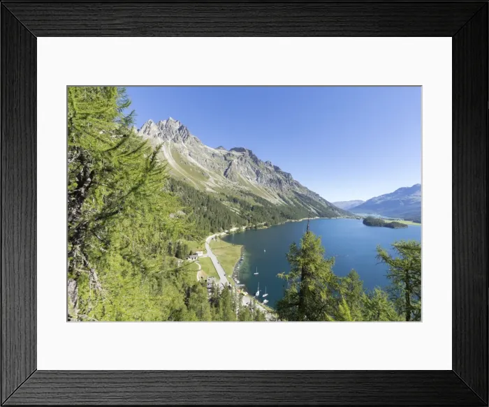 Framed Print : View of the blue Lake Sils from Plaun da Lej, Canton of Graubunden, Engadine, Switzerland Framed Print : View of the blue Lake Sils from Plaun da Lej, Canton of Graubunden, Engadine, Switzerland