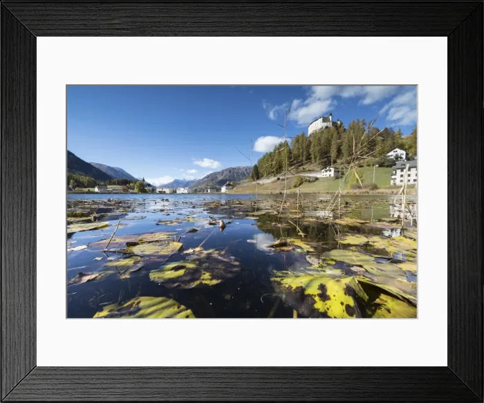 Framed Print : Autumn leaves in Lake Tarasp frame the old castle, Inn district, Canton of Graubunden Framed Print : Autumn leaves in Lake Tarasp frame the old castle, Inn district, Canton of Graubunden