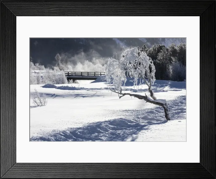 Framed Print : Frost on tree branches frames the snowy landscape, Celerina, Maloja, Canton of Graubunden Framed Print : Frost on tree branches frames the snowy landscape, Celerina, Maloja, Canton of Graubunden