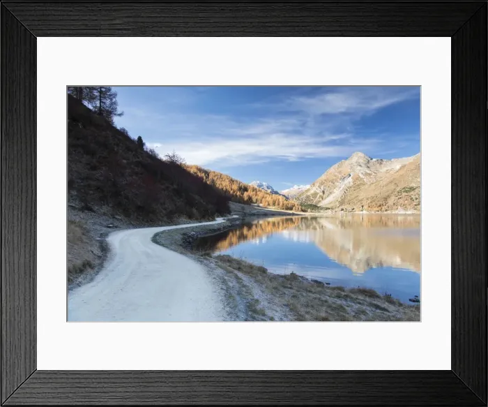 Framed Print : The colorful woods reflected in Lake Sils in the fall, Isola, Maloja, Canton of Graubunden Framed Print : The colorful woods reflected in Lake Sils in the fall, Isola, Maloja, Canton of Graubunden