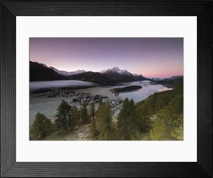 Framed Print : Pink sky at sunrise and mist on the lake and alpine village of Sils, Canton of Graubunden Framed Print : Pink sky at sunrise and mist on the lake and alpine village of Sils, Canton of Graubunden