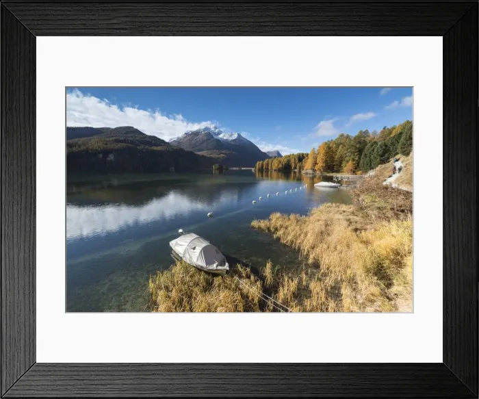 Framed Print : Colorful woods reflected in Lake Sils during autumn, Maloja, Canton of Graubunden Framed Print : Colorful woods reflected in Lake Sils during autumn, Maloja, Canton of Graubunden