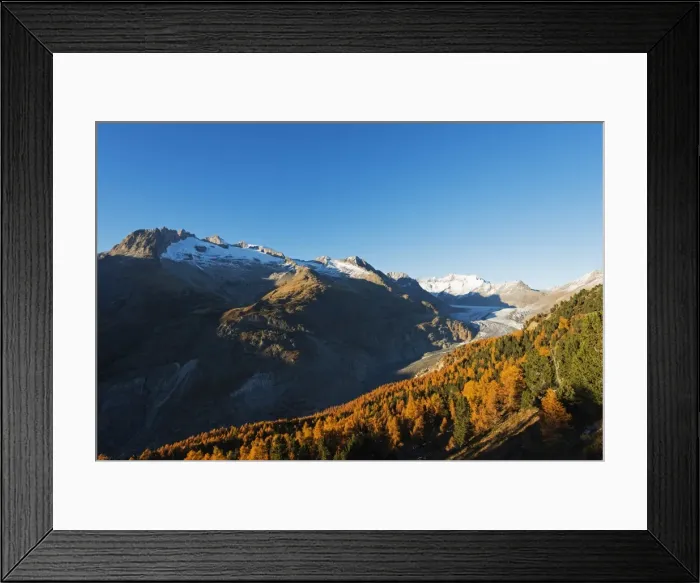 Framed Print : Aletsch Glacier, Jungfrau-Aletsch, UNESCO World Heritage Site, Valais, Swiss Alps Framed Print : Aletsch Glacier, Jungfrau-Aletsch, UNESCO World Heritage Site, Valais, Swiss Alps