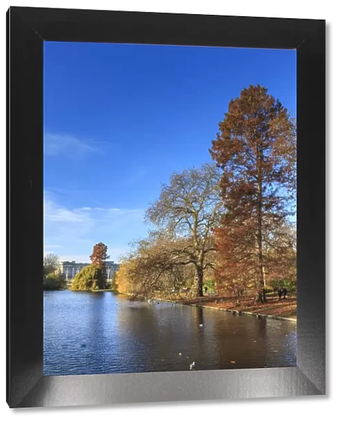 St. Jamess Park, with view across lake to Buckingham Palace, sunny late autumn, Whitehall