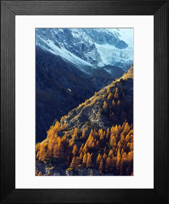 Framed Print : A paraglider flying in autumn, Zermatt, Valais, Swiss Alps, Switzerland, Europe Framed Print : A paraglider flying in autumn, Zermatt, Valais, Swiss Alps, Switzerland, Europe