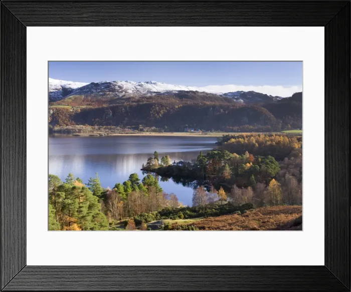Framed Print : Woodland around Brandlehow, Derwent Water, Cumbria, England, United Kingdom, Europe Framed Print : Woodland around Brandlehow, Derwent Water, Cumbria, England, United Kingdom, Europe