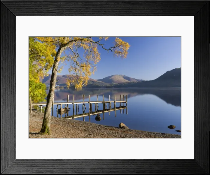 Framed Print : Autumn sunshine over Brandlehow, Borrowdale, The Lake District National Park, Cumbria Framed Print : Autumn sunshine over Brandlehow, Borrowdale, The Lake District National Park, Cumbria
