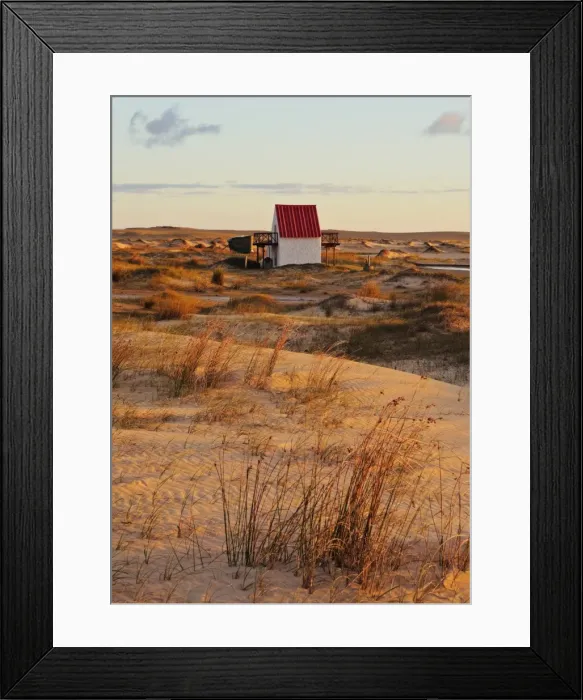 Framed Print : Sunrise at dunes, Cabo Polonio, Rocha Department, Uruguay, South America Framed Print : Sunrise at dunes, Cabo Polonio, Rocha Department, Uruguay, South America
