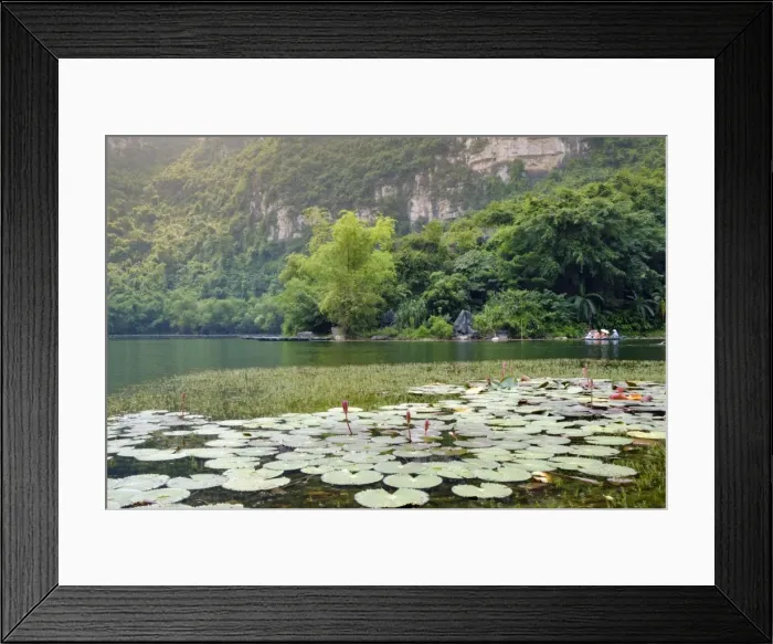 Framed Print : Boats and waterlilies on a river in the karst landscapes of Tam Coc and Trang An Framed Print : Boats and waterlilies on a river in the karst landscapes of Tam Coc and Trang An