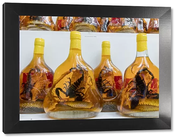 Scorpion and snake brandy for sale in Vietnam, Hanoi, Vietnam, Indochina, Southeast Asia