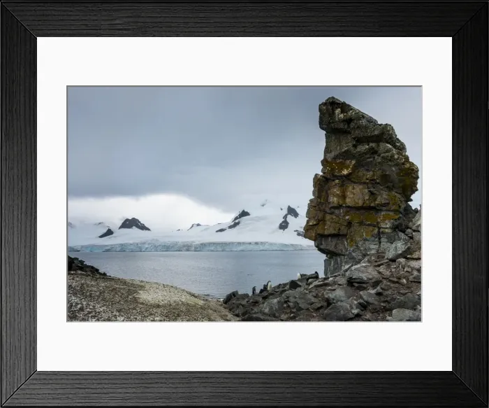 Framed Print : Penguins below dramatic rock formations, Half Moon Bay, South Sheltand Islands, Antarctica