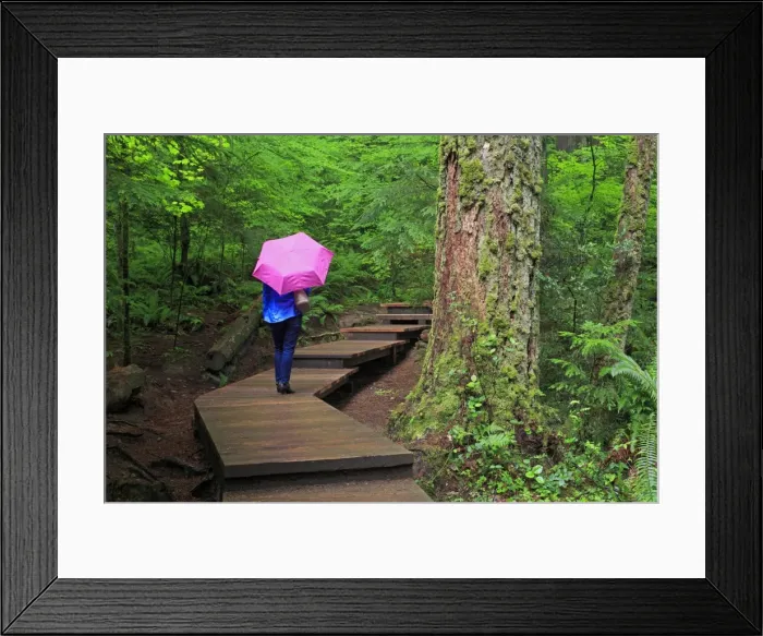 Framed Print : Lynn Canyon Park, Vancouver, British Columbia, Canada, North America Framed Print : Lynn Canyon Park, Vancouver, British Columbia, Canada, North America